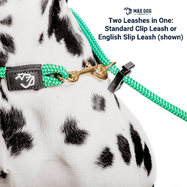Amazon A+ Content (DP 2)