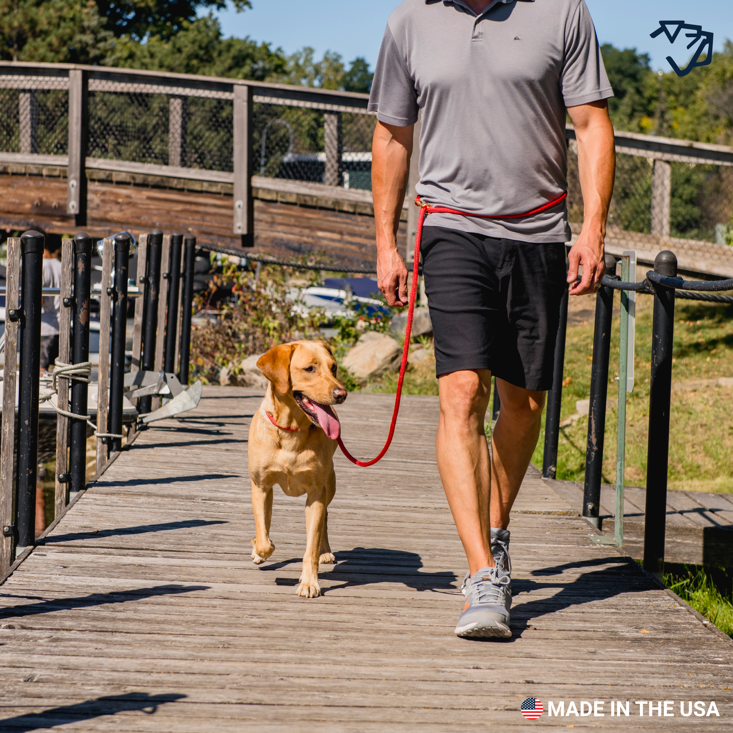 DB Hands Free Clip Leash A+4