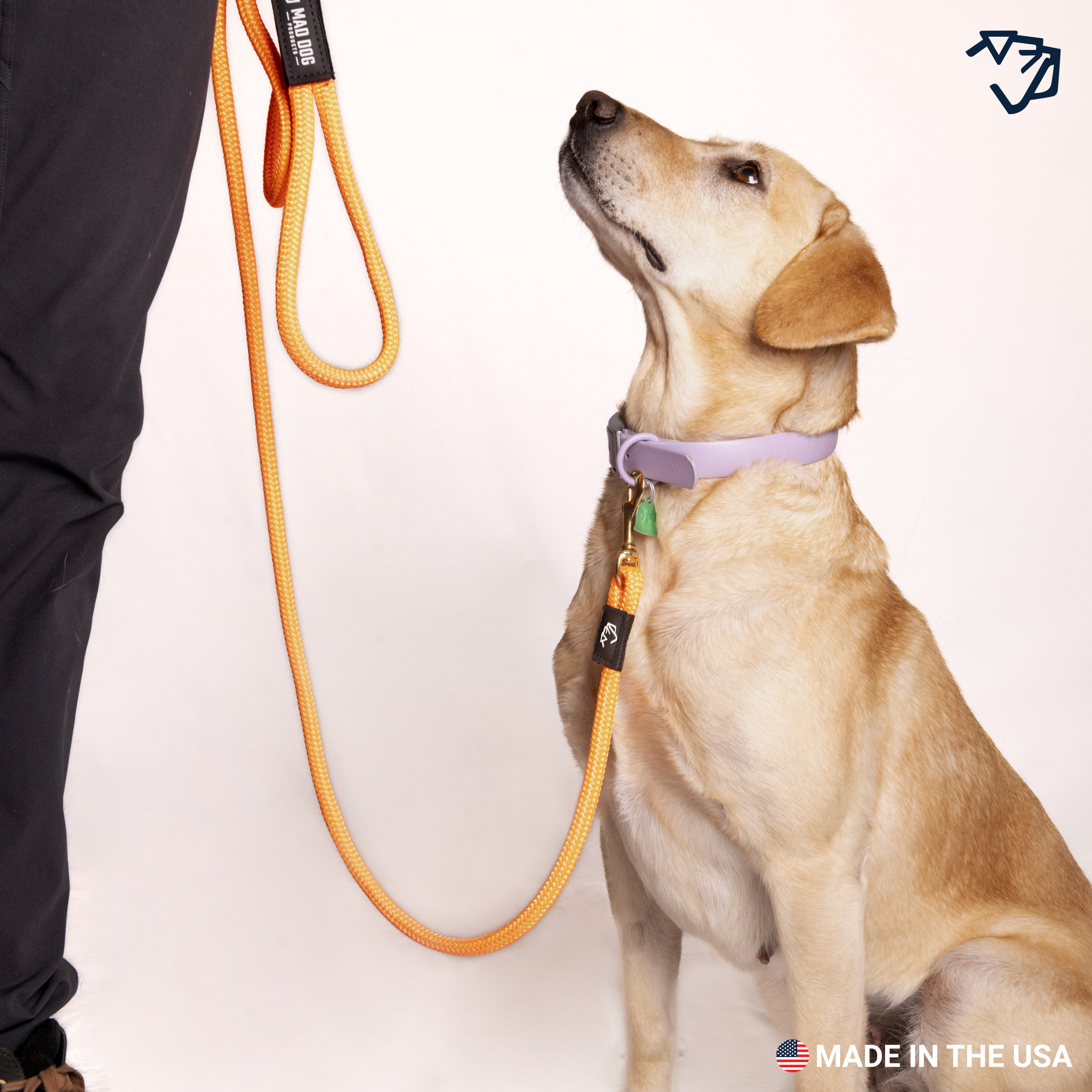 DB Standard Clip Leash A+4