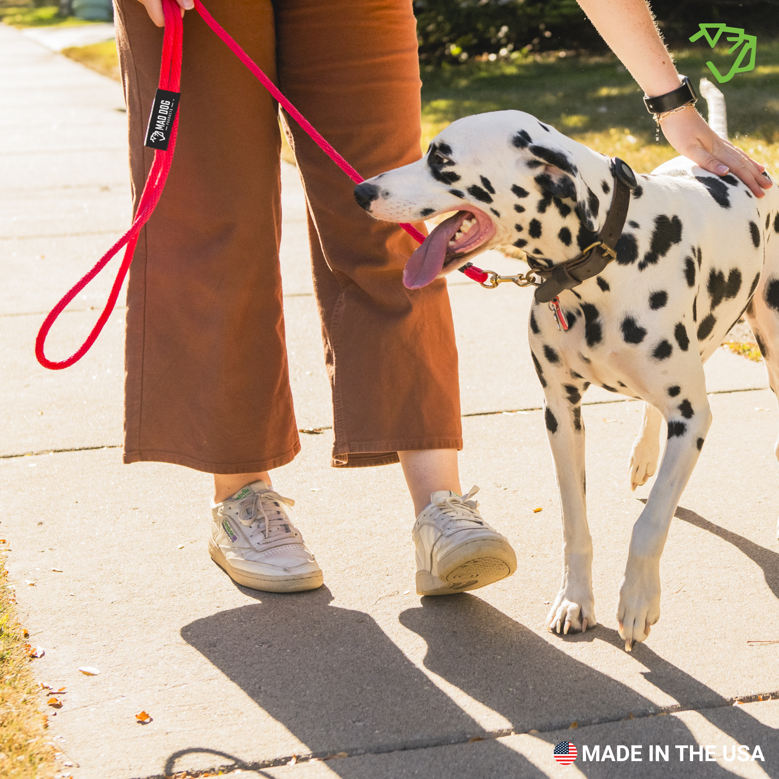 DB Standard Clip Leash A+5