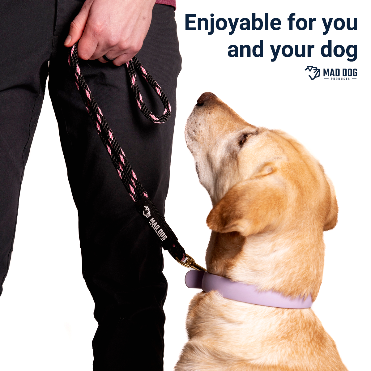 Heeling Leash A+ 2