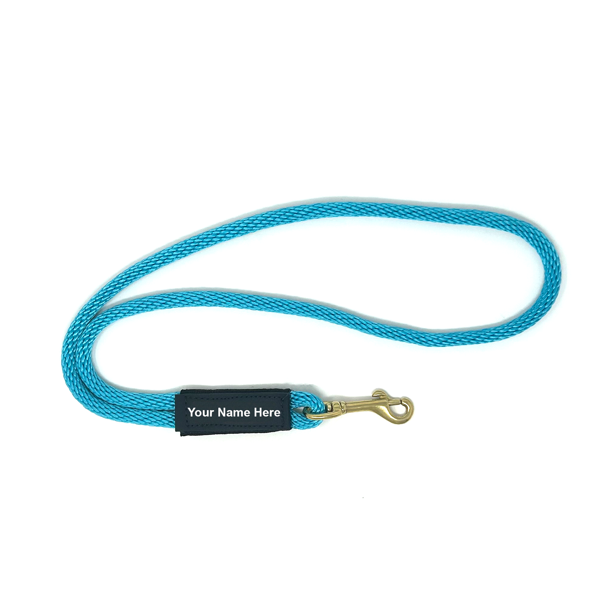 Heeling Leash Aqua TP