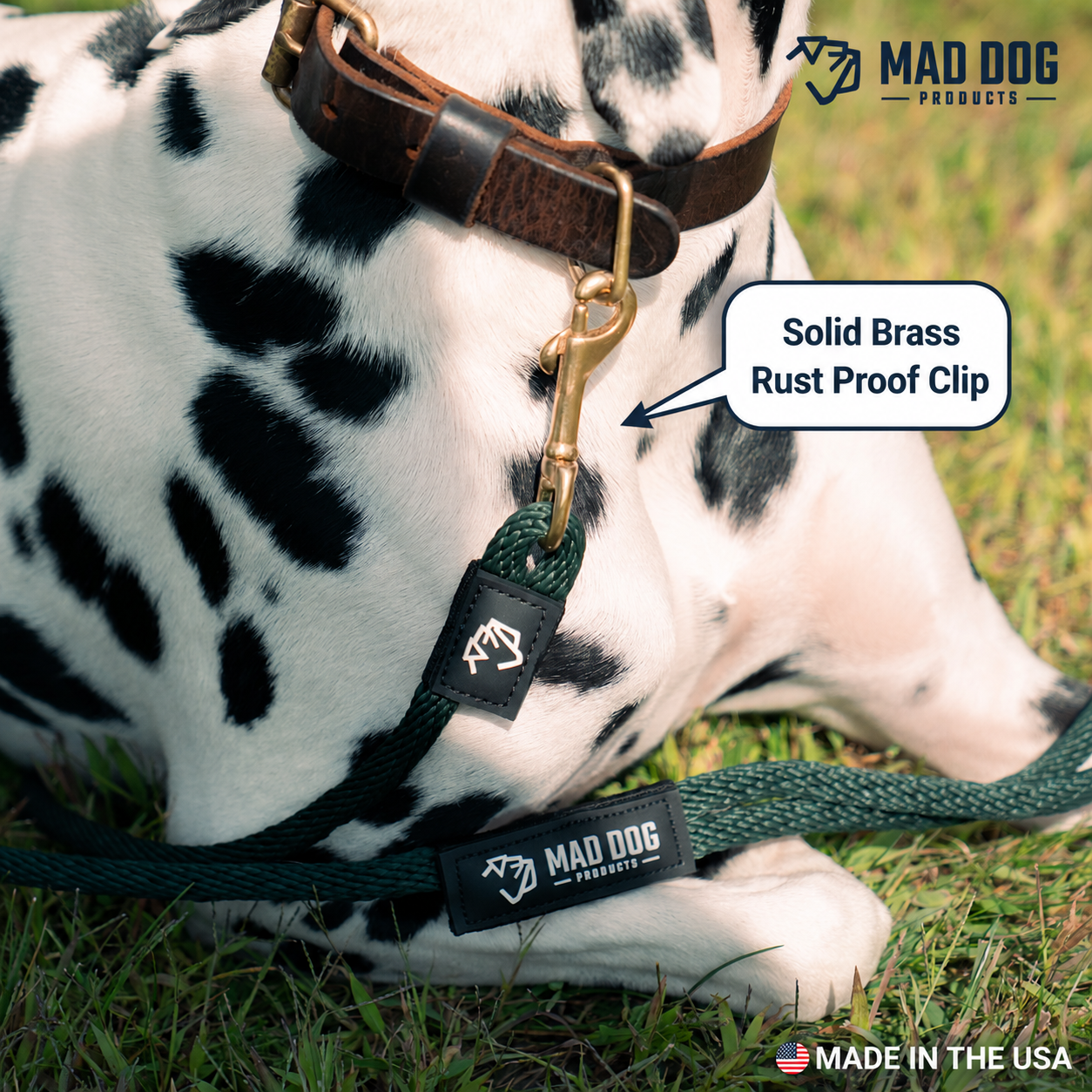 STD Clip Leash1