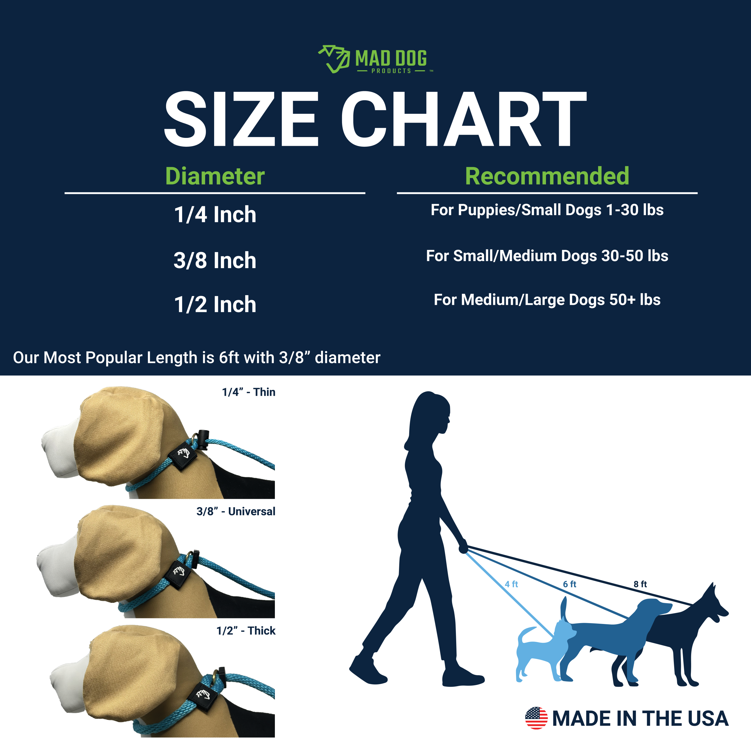 English Slip Leash A+3