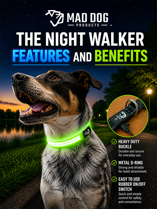 LED Collar Features