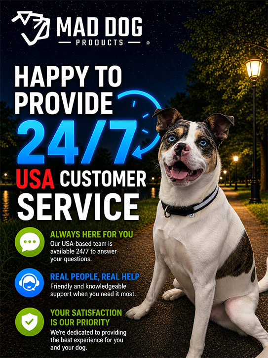 LED Collar Service